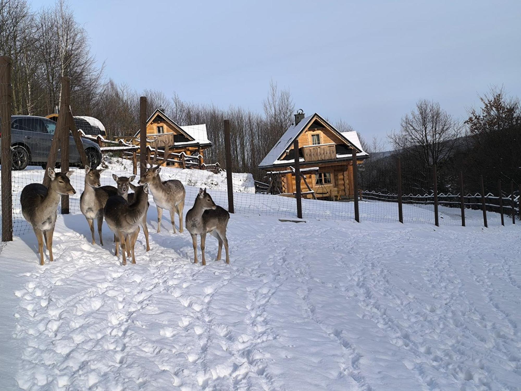 Villa Osada Mala Kozowka Myślenice Esterno foto